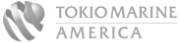 tm_america_symbol_resized